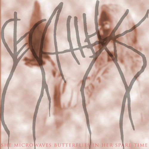 0decathexis0 : She Microwaves Butterflies in Her Spare Time